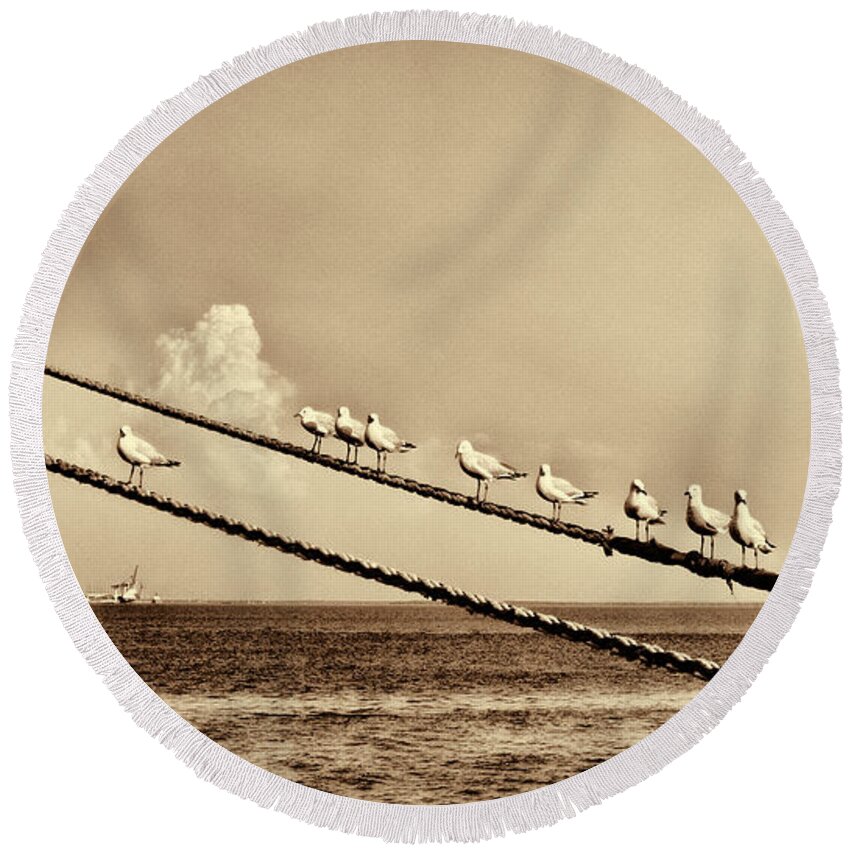Seagulls Round Beach Towel featuring the photograph Sailors V2 by Douglas Barnard