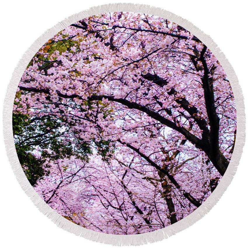 Cherry Blossom Round Beach Towel featuring the photograph Sakura by HELGE Art Gallery