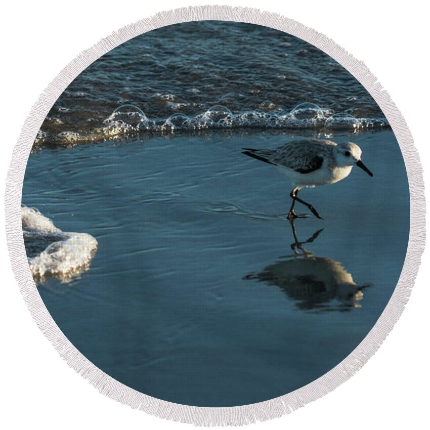 Florida Round Beach Towel featuring the photograph Sanderling Reflection Delray Beach Florida by Lawrence S Richardson Jr