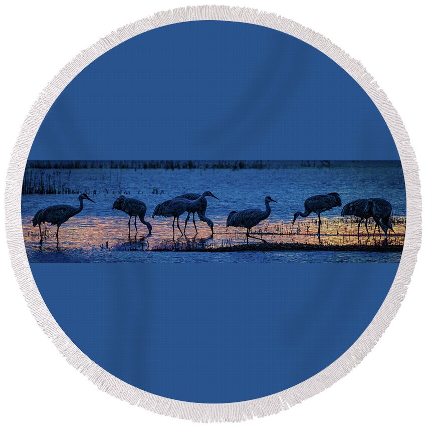 Animals Round Beach Towel featuring the photograph Sandhill Cranes at Twilight by Bruce Bonnett
