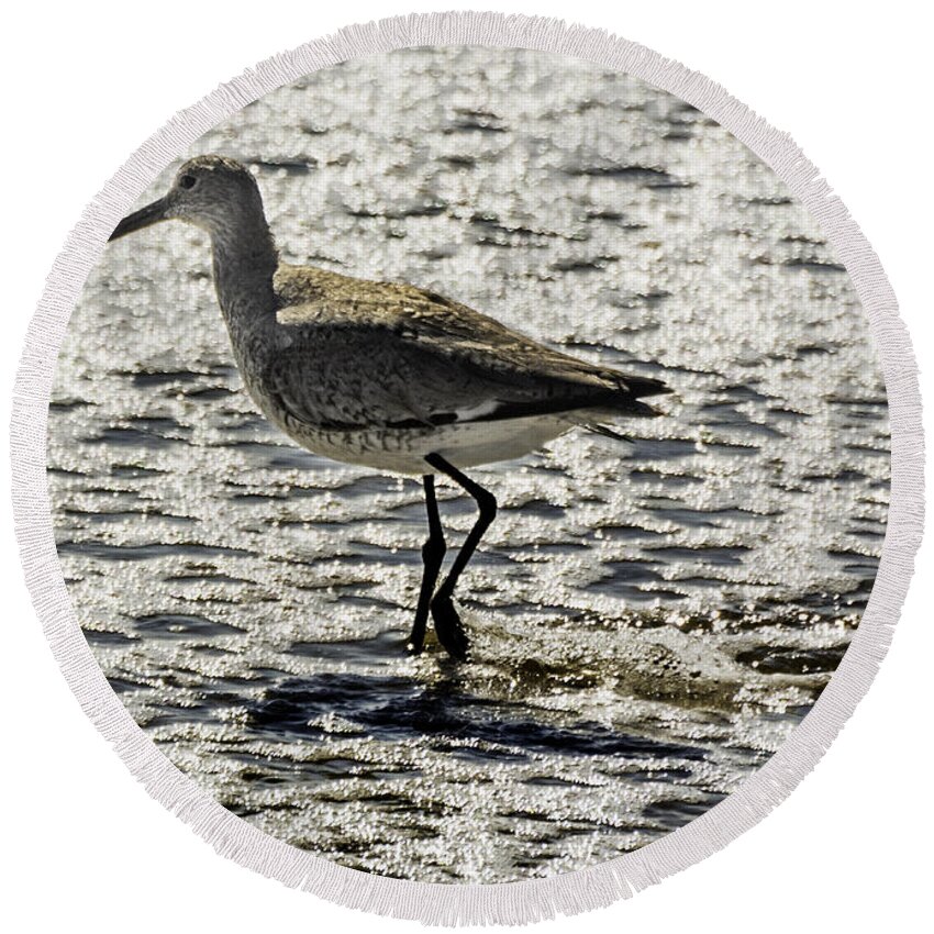 Original Round Beach Towel featuring the photograph Sandpiper by WAZgriffin Digital