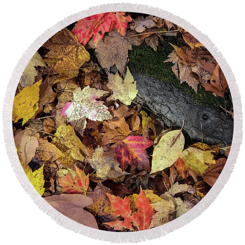 Leaves Round Beach Towel featuring the photograph Saturnine by Joseph Yarbrough