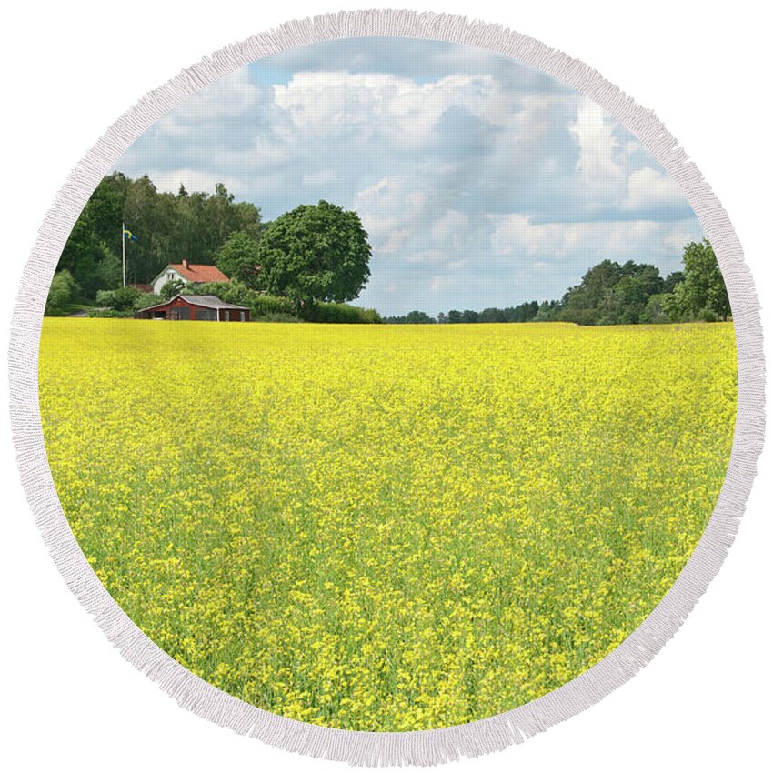 Field Round Beach Towel featuring the photograph Scandinavian summer landscape with yellow meadow by GoodMood Art