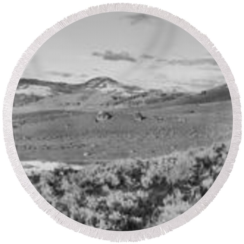 Yellowstone Round Beach Towel featuring the photograph Scenic Views On The Road To Tower Black And White by Adam Jewell