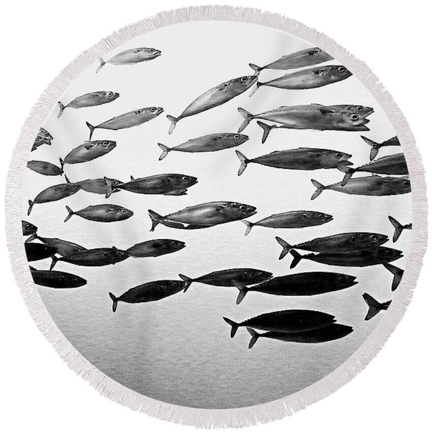 Fish Round Beach Towel featuring the photograph School's Out by Tom Griffithe