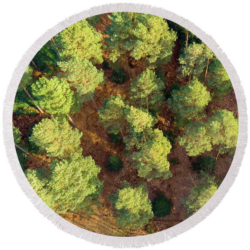 Scots Pines Round Beach Towel featuring the photograph Scots Pines by Andy Myatt