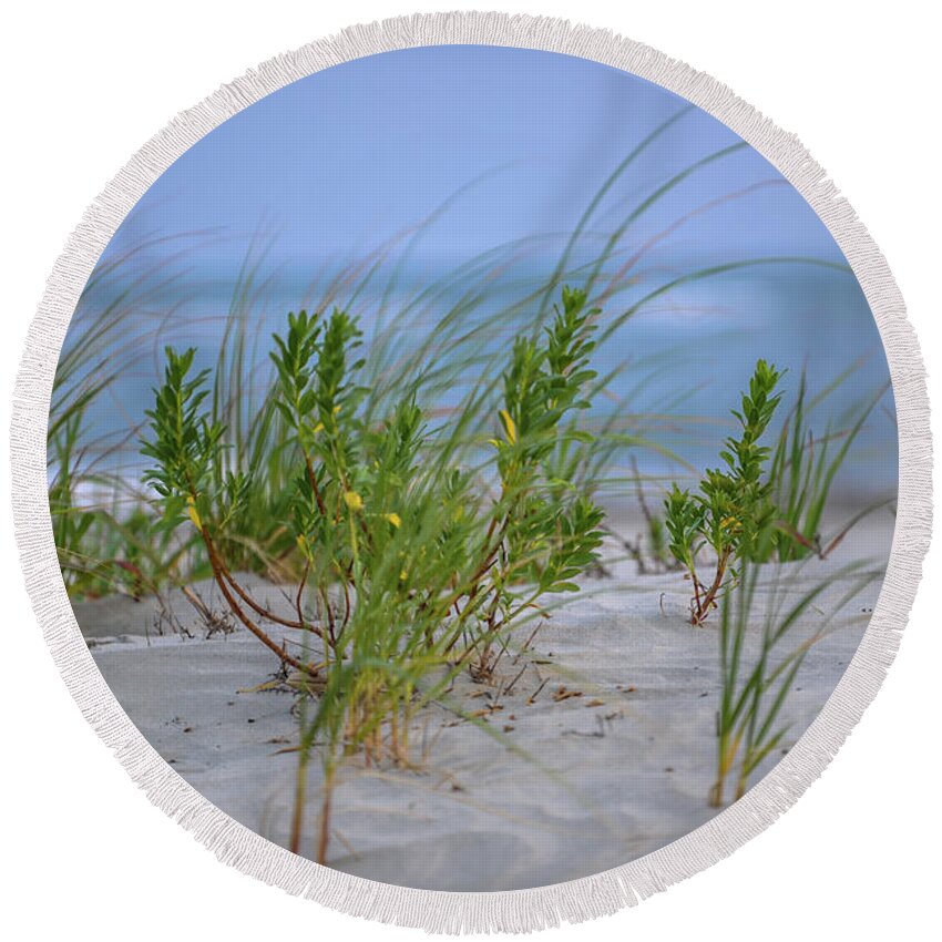 Beach Round Beach Towel featuring the photograph Sea Grass Blowing in the Wind by Dale Powell