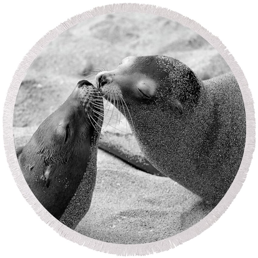 Sea Lions Round Beach Towel featuring the photograph Kinda Like You by John F Tsumas