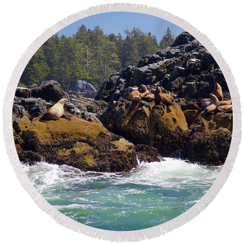 Sea Lions Round Beach Towel featuring the photograph Sea Lions by Bruce Block