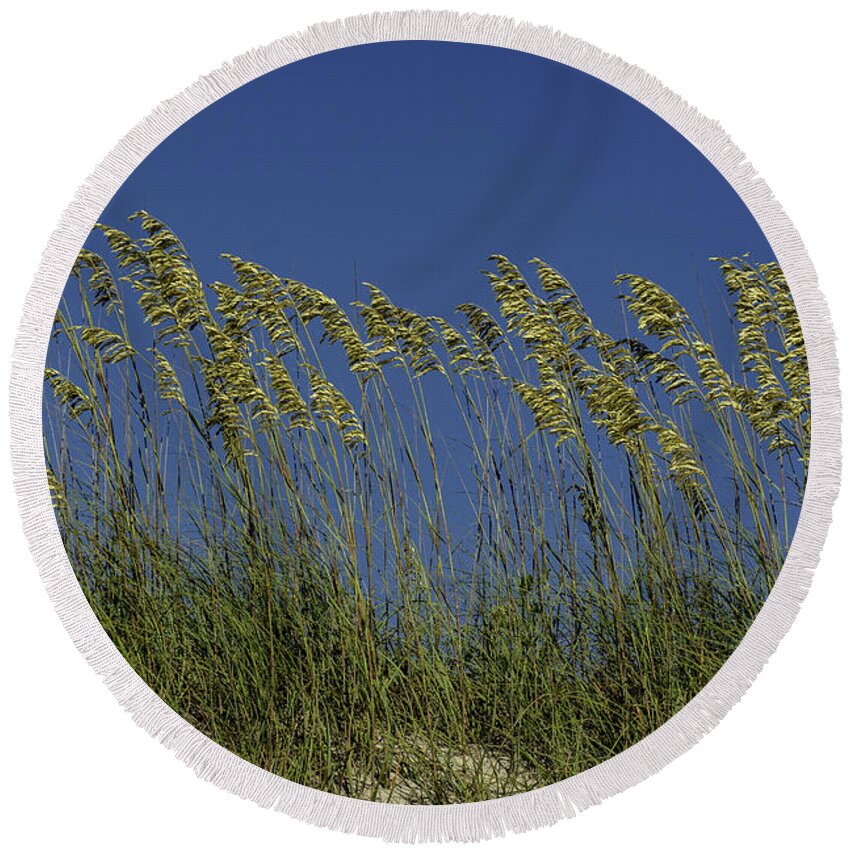 Original Round Beach Towel featuring the photograph Sea oats on the dunes by WAZgriffin Digital