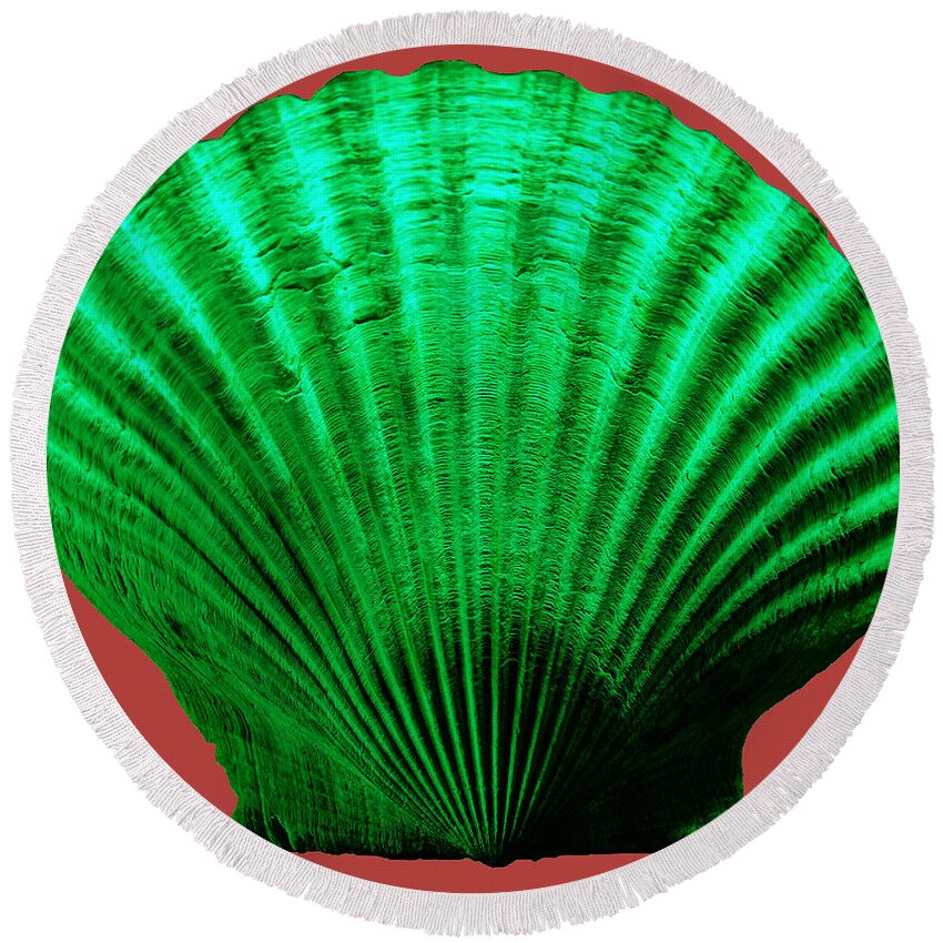 Sea Round Beach Towel featuring the photograph Sea Shell-Green-red by WAZgriffin Digital
