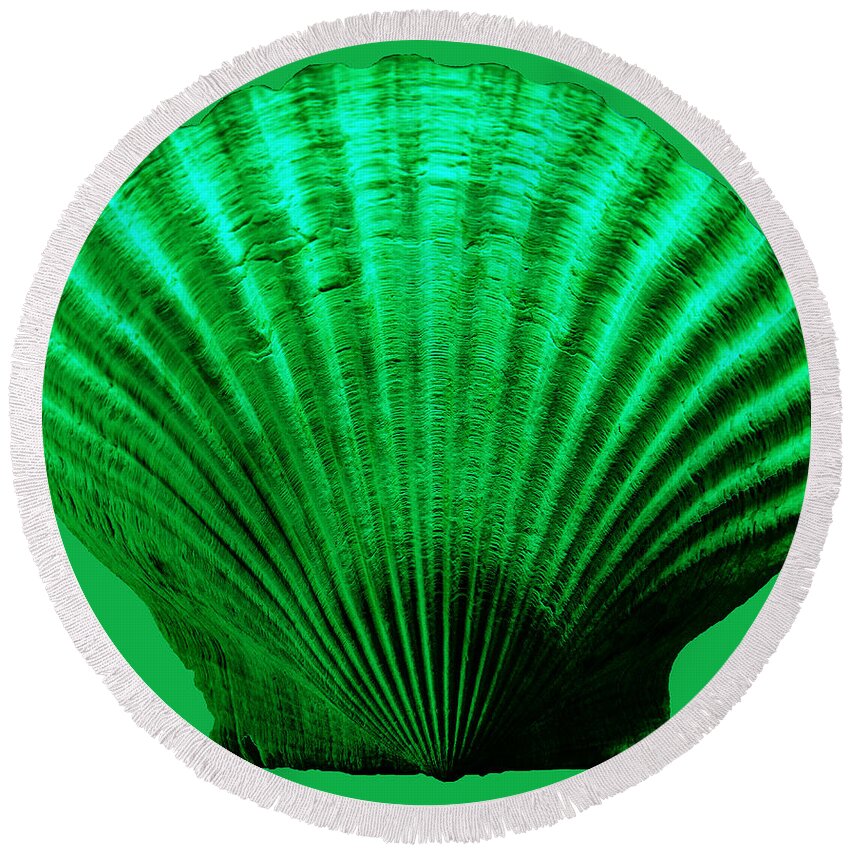 Sea Round Beach Towel featuring the photograph Sea Shell -Green by WAZgriffin Digital