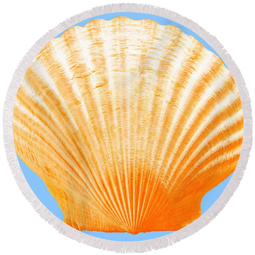 Sea Round Beach Towel featuring the photograph Sea Shell-Orange-blue by WAZgriffin Digital