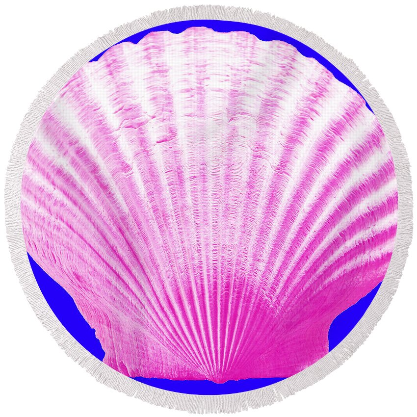Sea Round Beach Towel featuring the photograph Sea Shell- pink on blue by WAZgriffin Digital