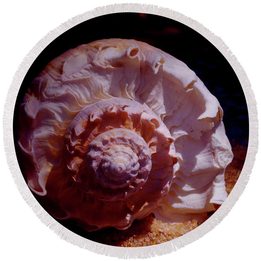 Shell Round Beach Towel featuring the photograph Sea Treasure by Bess Carter