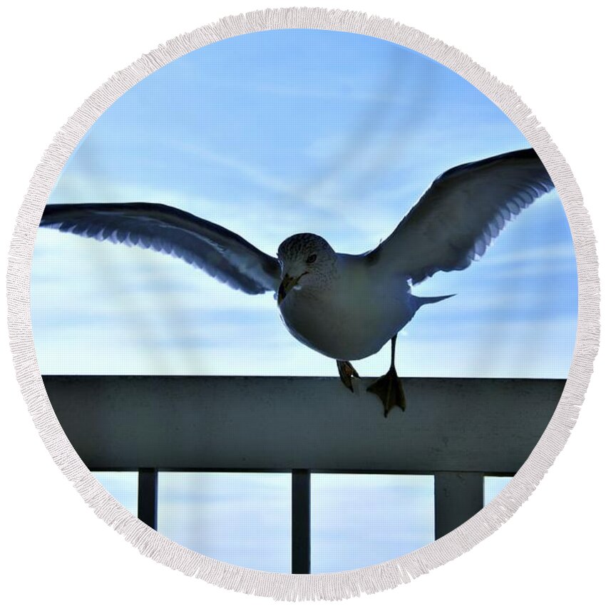 Birds Round Beach Towel featuring the photograph Sea Wings Of A Gull by Jan Gelders