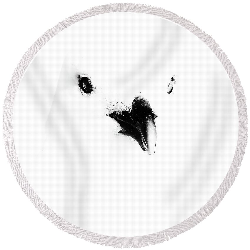 Black And White Round Beach Towel featuring the photograph Seagull Art by Darius Aniunas