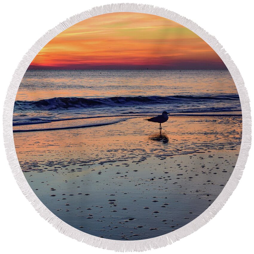 Beach Round Beach Towel featuring the photograph Seagull at Sunrise by Nicole Lloyd