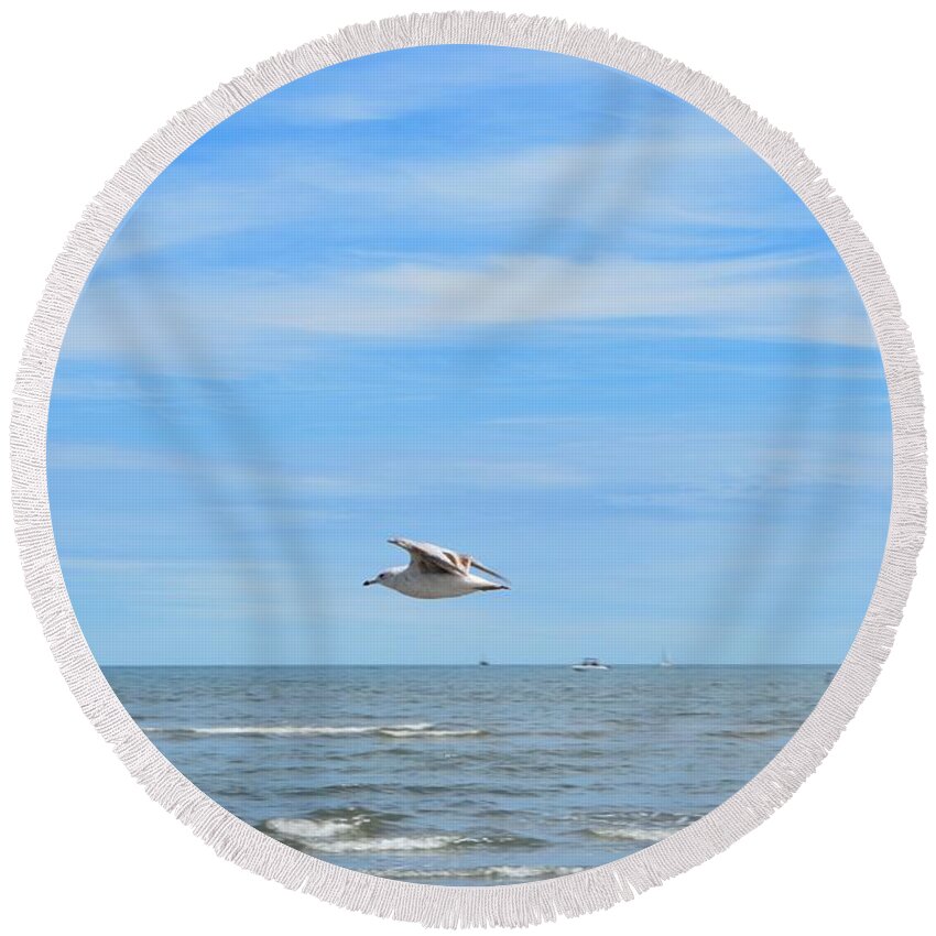 Seagull Round Beach Towel featuring the photograph Seagull in Flight by Dani McEvoy