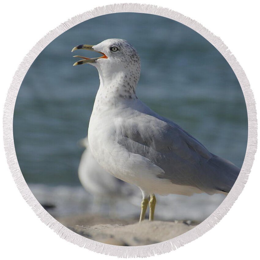 Seagull Round Beach Towel featuring the photograph Seagull on Lake Erie Beach by Valerie Collins