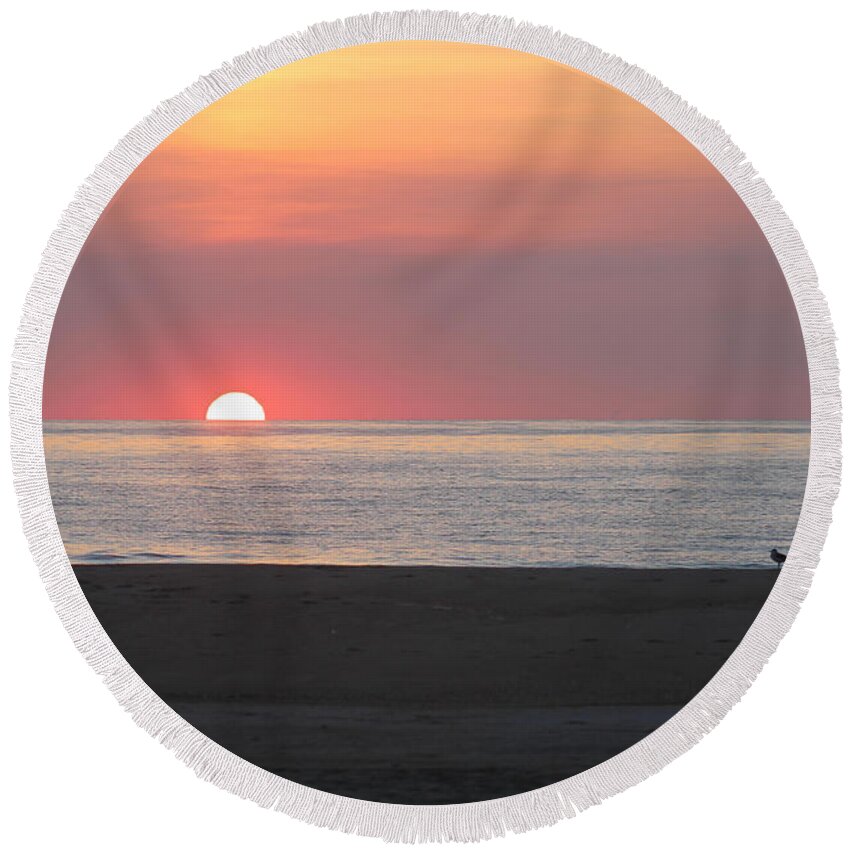 Seagull Round Beach Towel featuring the photograph Seagull Watching Sunrise by Robert Banach