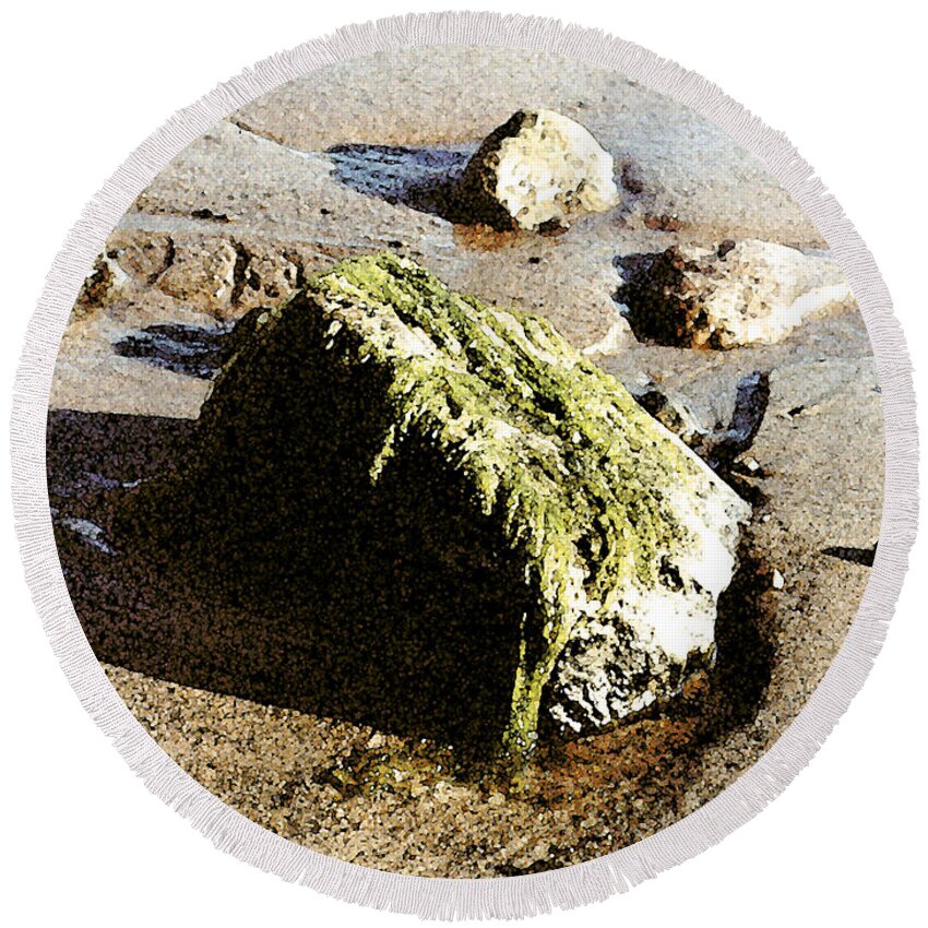 Water Round Beach Towel featuring the painting Seaweed Rock by Paul Sachtleben