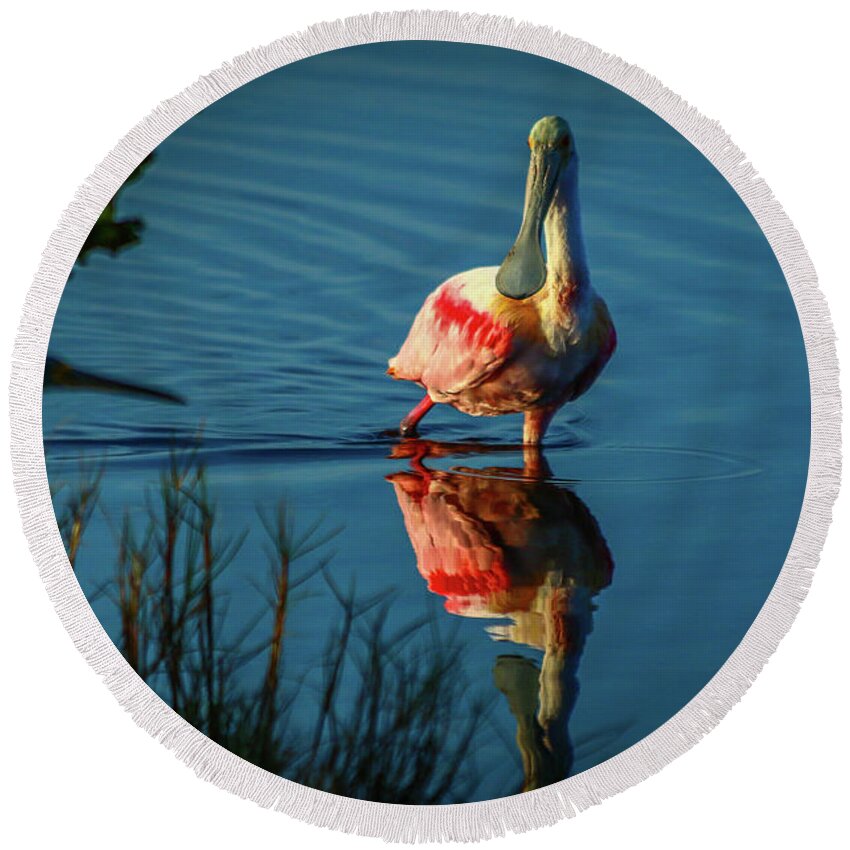 Spoonbill Round Beach Towel featuring the photograph Secret Admirer by Tom Claud