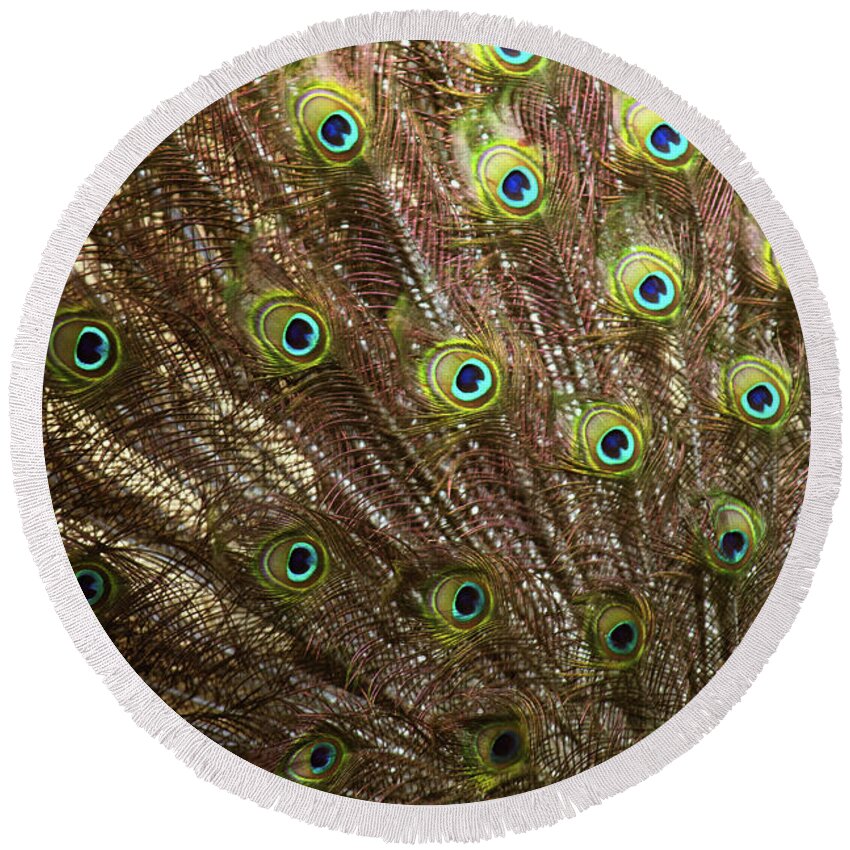 Landscape Round Beach Towel featuring the photograph See Eye to Eye by Donna L Munro