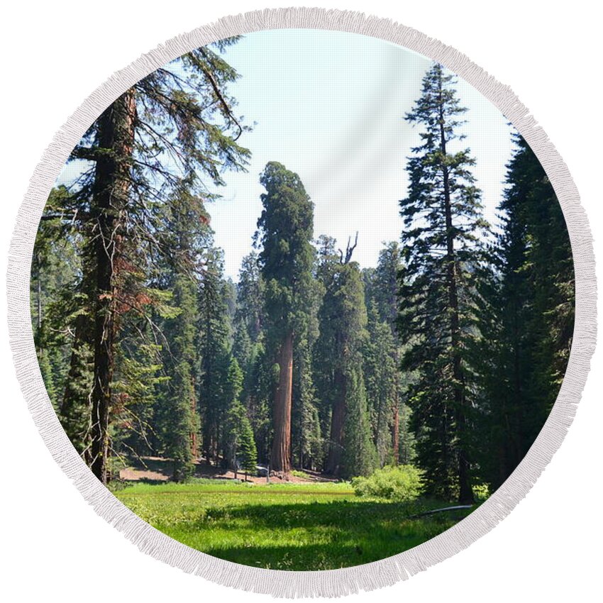 Sequoia Trees Round Beach Towel featuring the photograph Sequoia National Forest by Laurianna Taylor