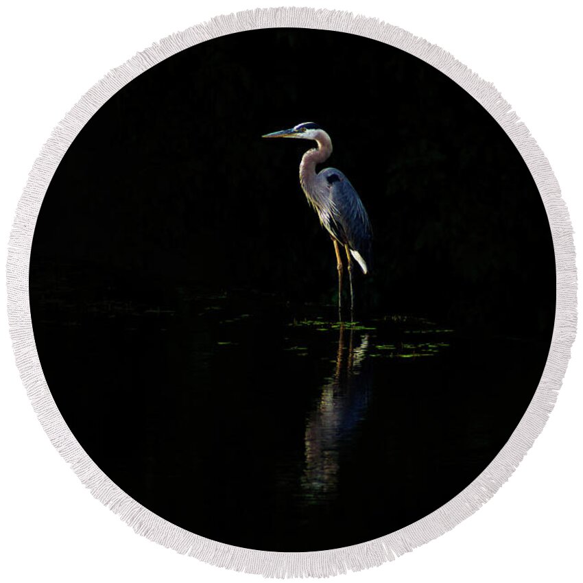 Great Blue Heron Round Beach Towel featuring the photograph Shad Pond Sentry by Garrett Sheehan