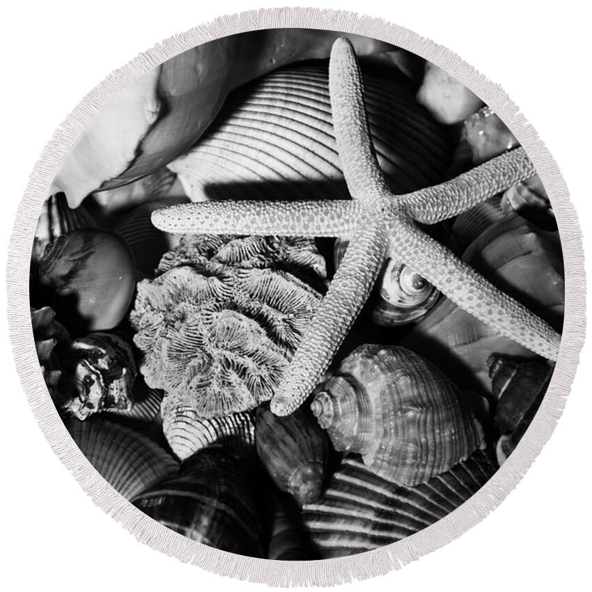 Sea Stars Round Beach Towel featuring the photograph Shells and Starfish in Black and White by Angie Tirado