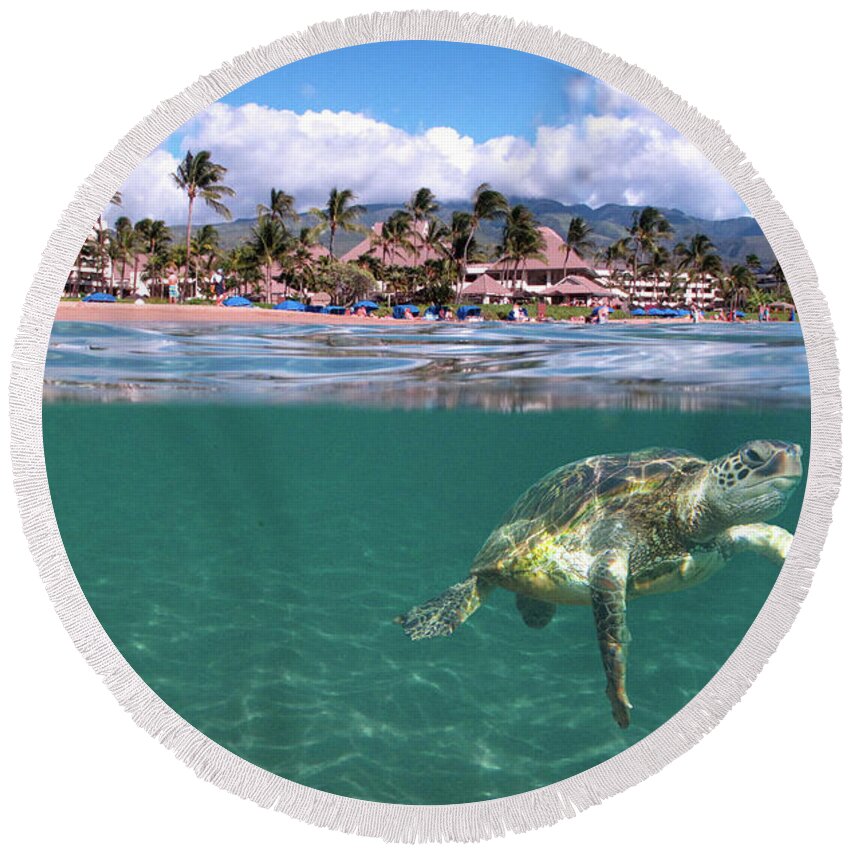 Maui Ocean Art Turtle Hawaii Sheraton Round Beach Towel featuring the photograph Sheraton Maui by James Roemmling
