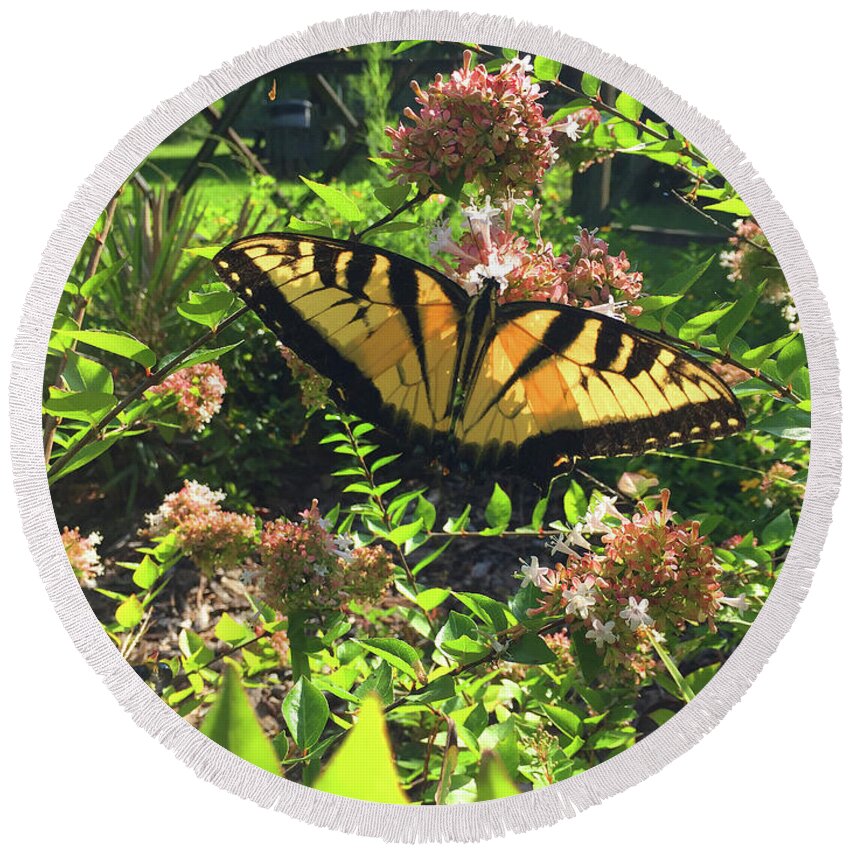 Butterfly Round Beach Towel featuring the photograph Silence of Nature by Matthew Seufer