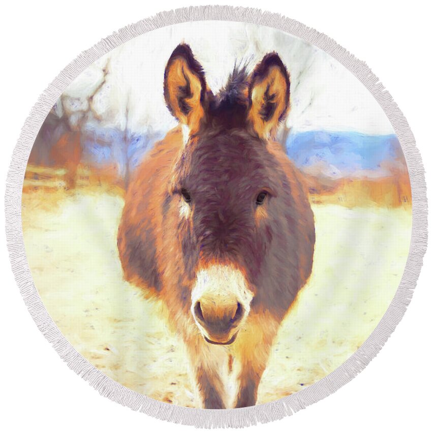 Donkey Round Beach Towel featuring the photograph Silent Approach by Jennifer Grossnickle