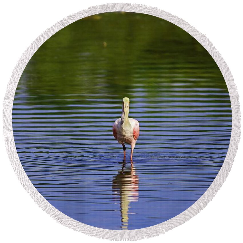 Roseate Spoonbill Round Beach Towel featuring the photograph Silent Craving by Michiale Schneider