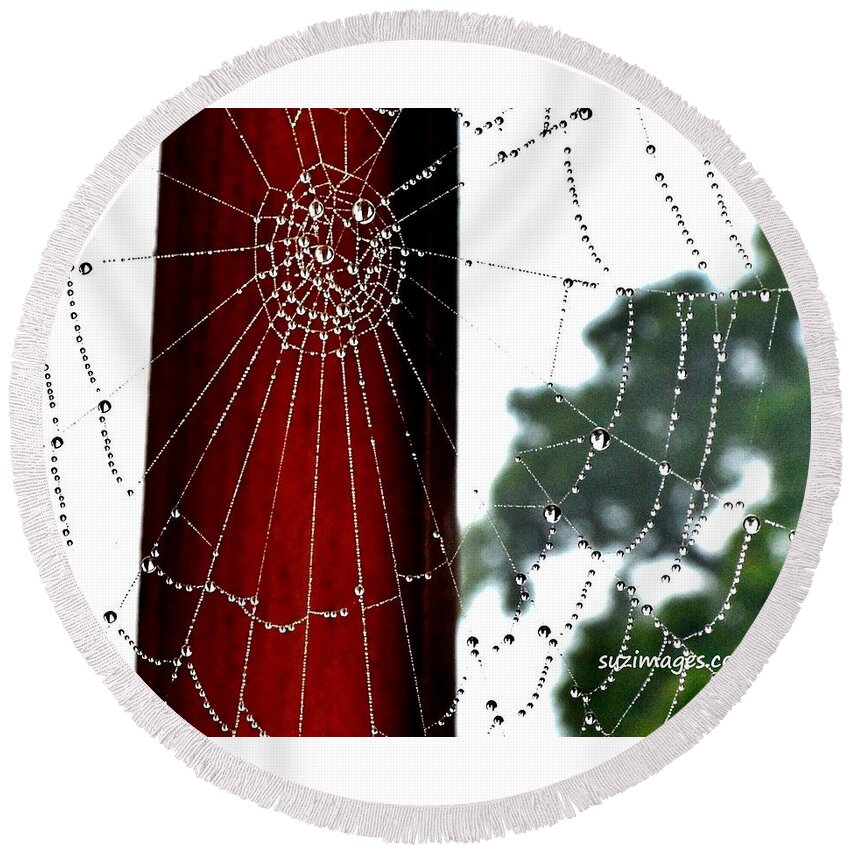 Spider Web Round Beach Towel featuring the photograph Silk by Susie Loechler