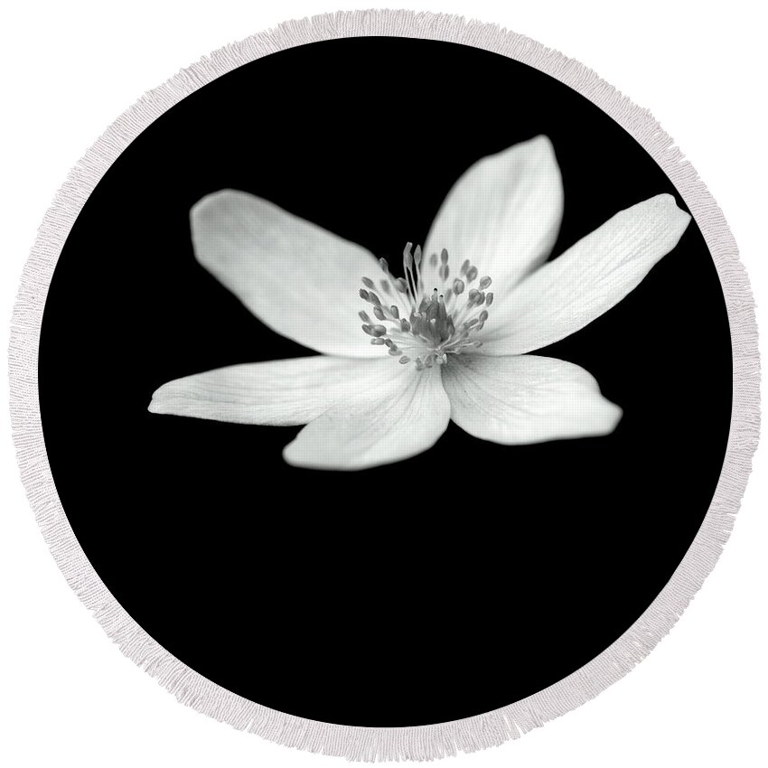 Monochrome Flower Petals Stamens On-black On-dark Round Beach Towel featuring the photograph Six petals in monochrome by Ian Sanders