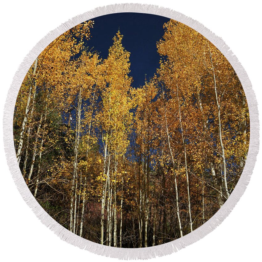 Landscape Round Beach Towel featuring the photograph Skyward Aspens by Ron Cline