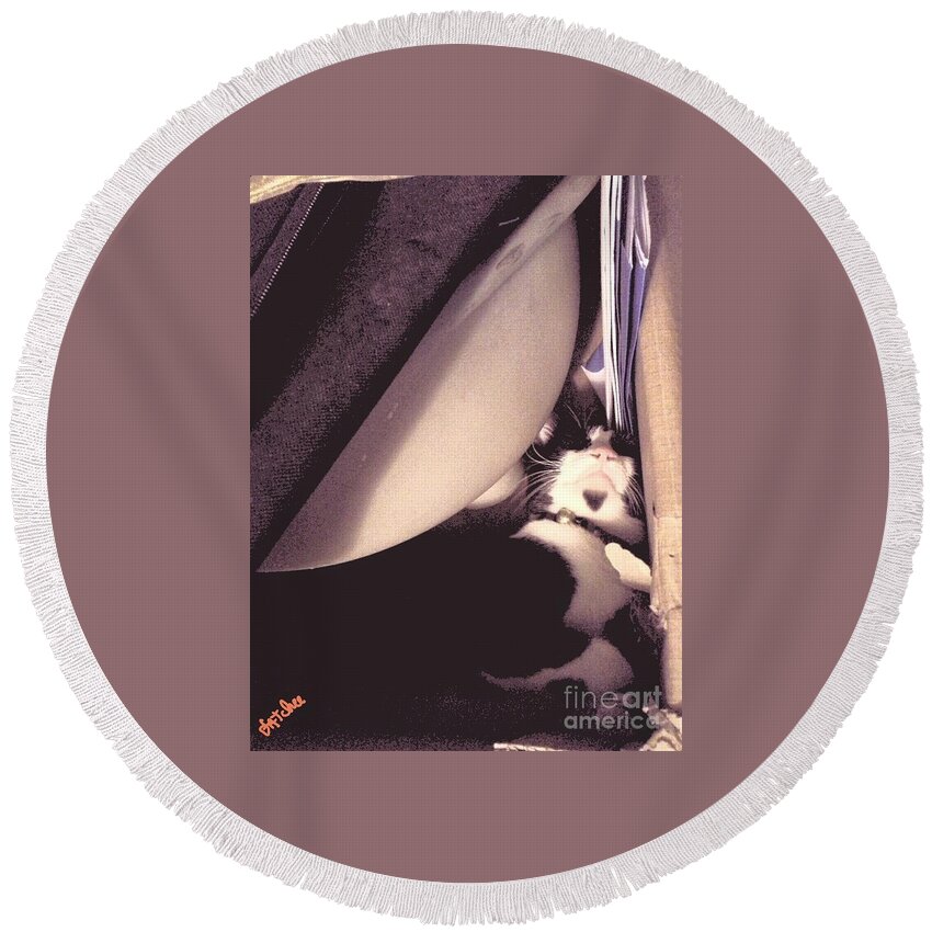 Cat Round Beach Towel featuring the photograph Sleeping with Things #2 by Sukalya Chearanantana
