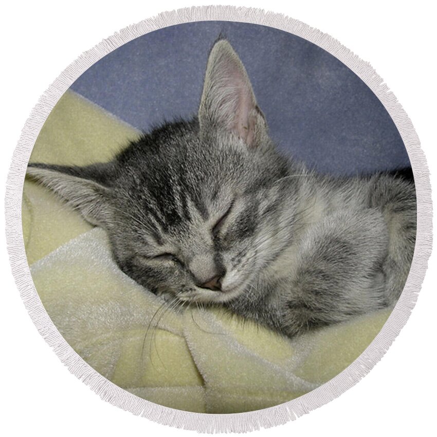 Kitten Round Beach Towel featuring the photograph Sleepy Time by Donna Brown