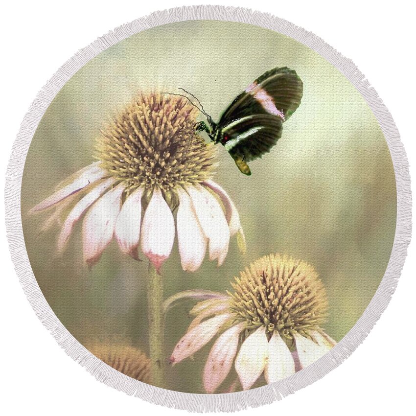 Butterfly Round Beach Towel featuring the photograph Small Postman Butterfly on Cone Flower by Janette Boyd