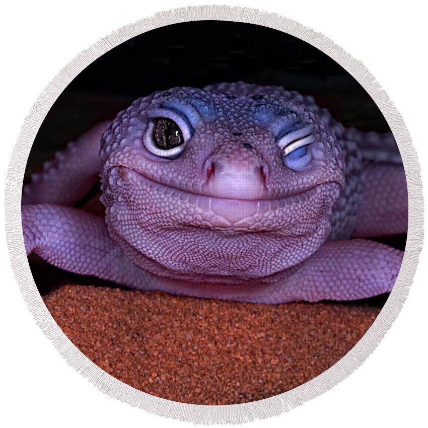 Gecko Round Beach Towel featuring the photograph Smile Wink Wink - Leopard Gecko by Mitch Spence