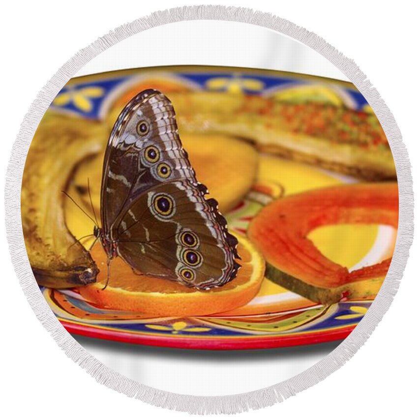 Butterfly Round Beach Towel featuring the photograph Snacking Butterfly by Bob Slitzan