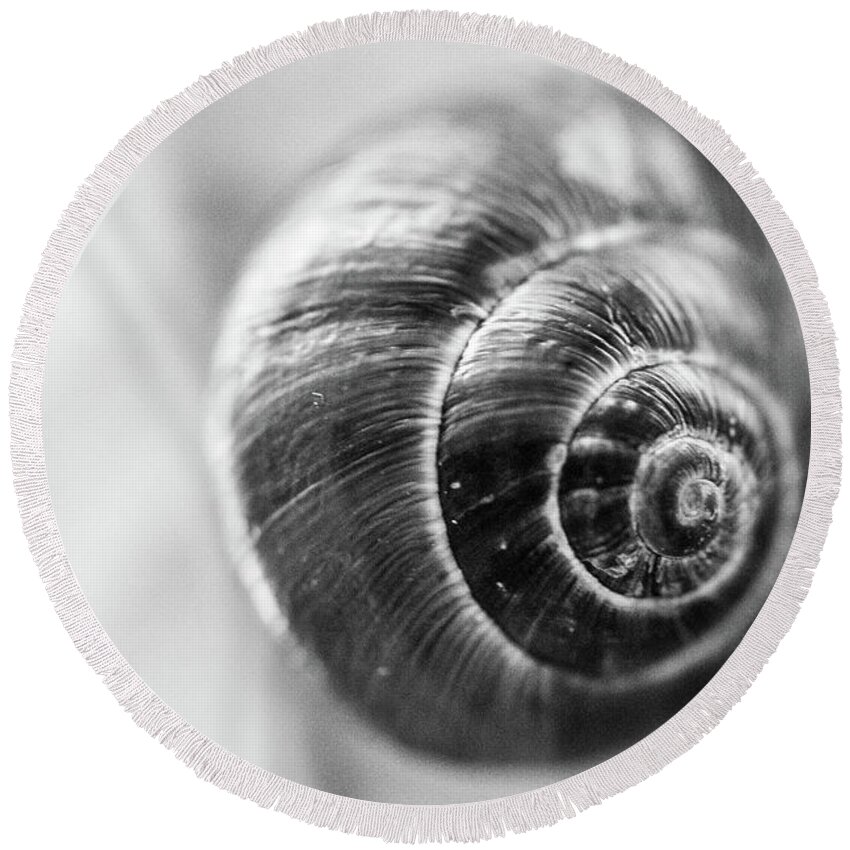 Snail Round Beach Towel featuring the photograph Snail Black and White by Danielle Silveira