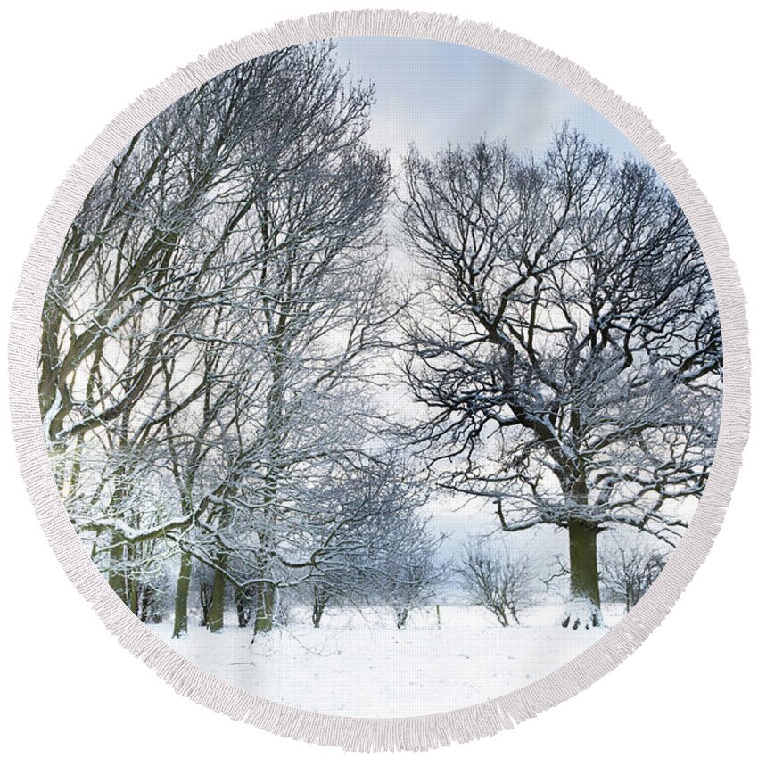 Snow Round Beach Towel featuring the photograph Snow covered forest with early morning sunrise by Simon Bratt