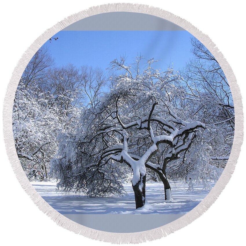 Apple Tree Round Beach Towel featuring the photograph Snow-Covered Sunlit Apple Trees by Byron Varvarigos