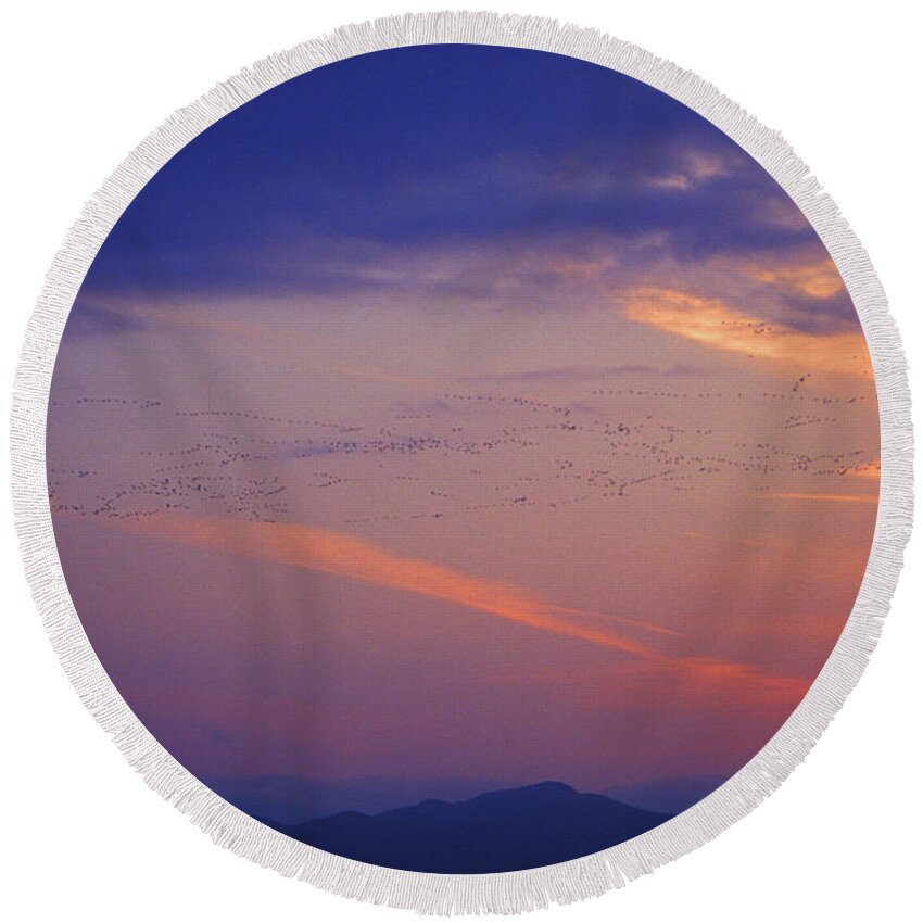 Vermont Round Beach Towel featuring the photograph Snow Geese at Sunset by John Burk