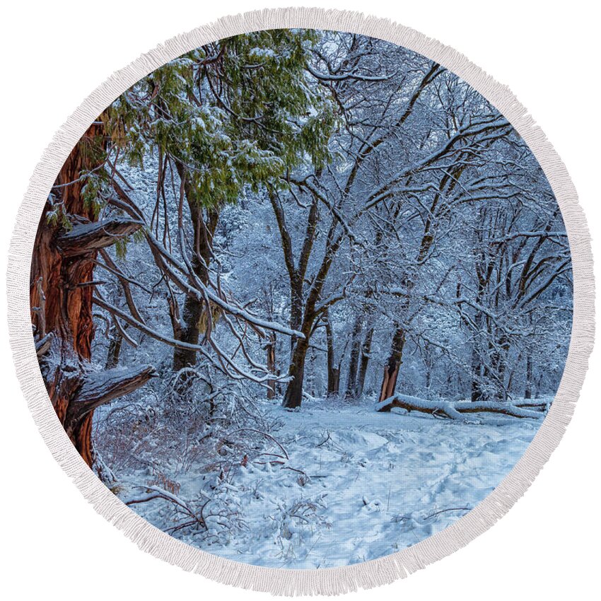 Landscape Round Beach Towel featuring the photograph Snow Trees by Jonathan Nguyen