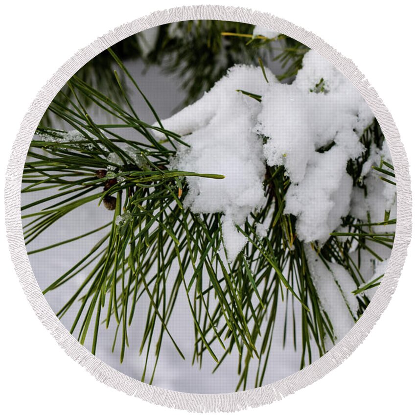 Snow Round Beach Towel featuring the photograph Snowy Branch by Nicole Lloyd