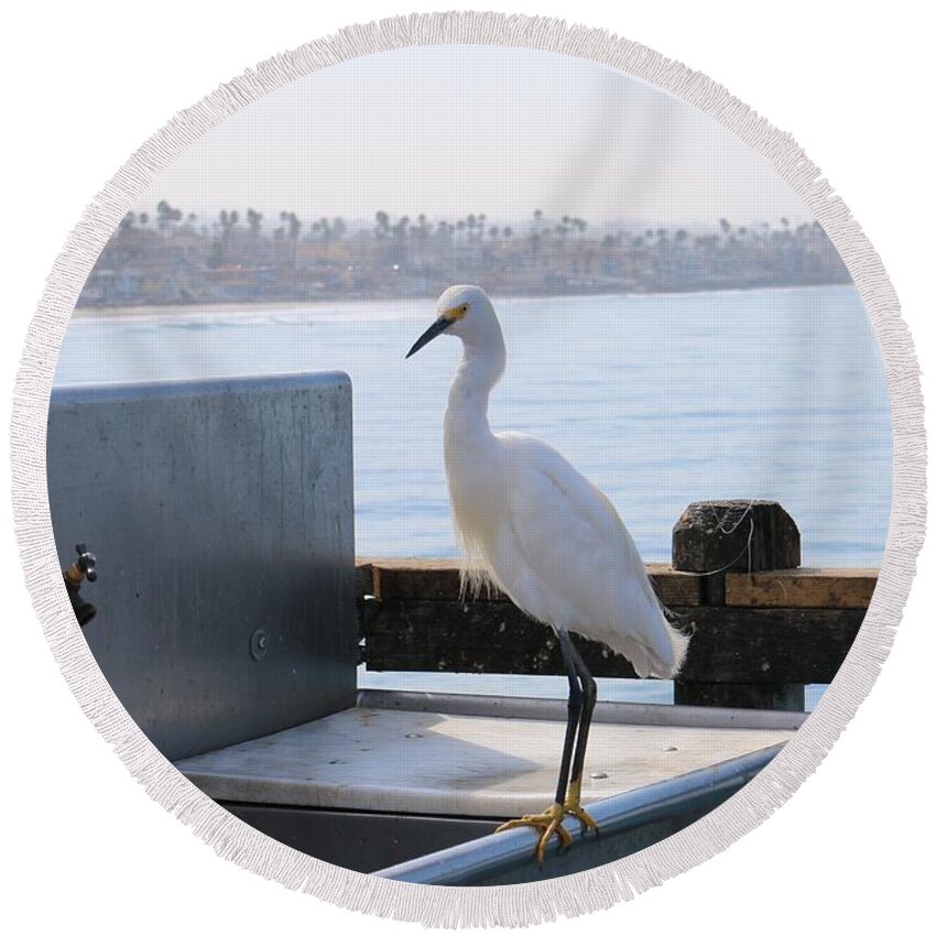 Snowy Round Beach Towel featuring the photograph Snowy Egret by Christy Pooschke